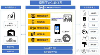 摩贝ceo常东亮 三流合一 打造化学品行业生态圈