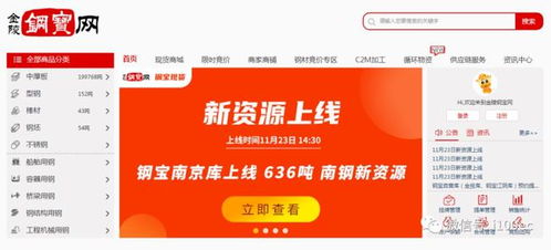 钢铁电商平台 钢宝股份 拟北交所上市 半年营收49亿信披违规遭警示