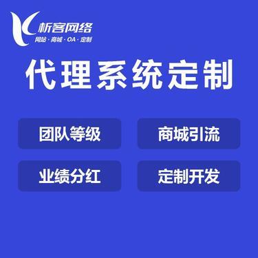 区域代理系统开发